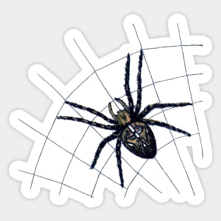 Scary spider on web Sticker